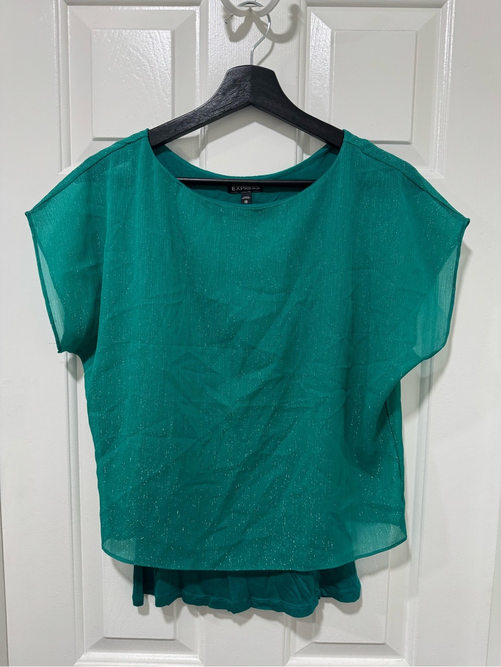 Express Emerald Sheer Shimmery Overlay Dolman Sleeve Blouse